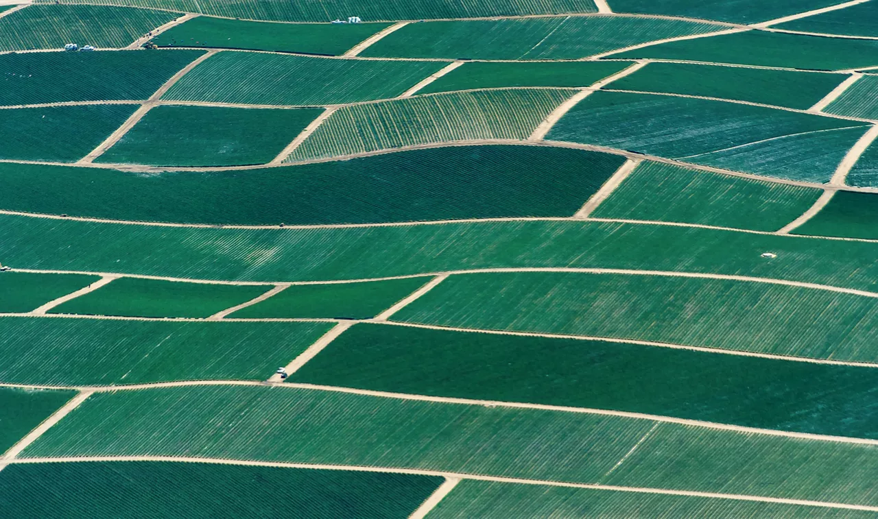 Birds eye view of fields