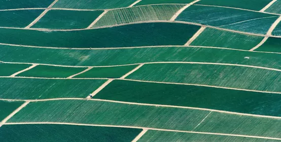 birds eye view of fields