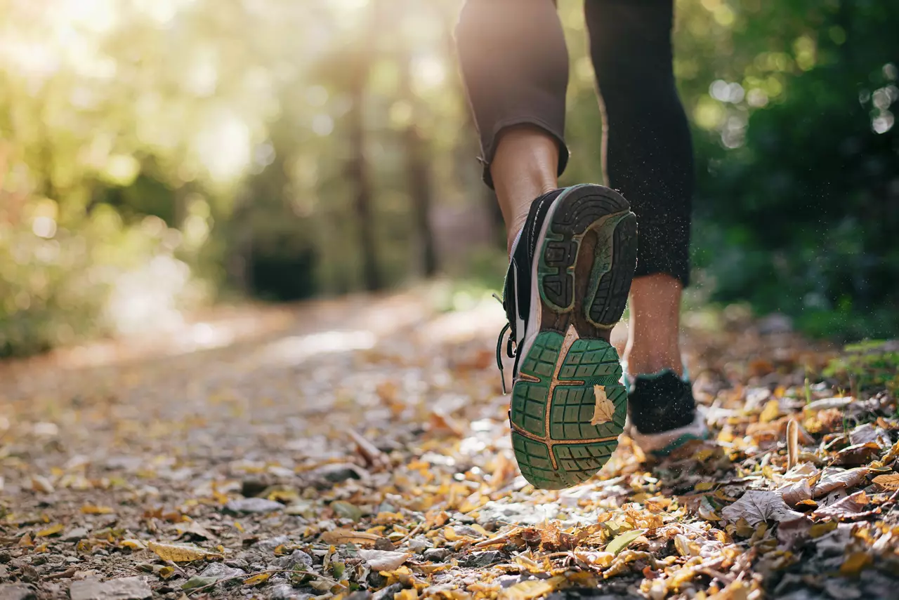 Athleisure shoes on forest trail