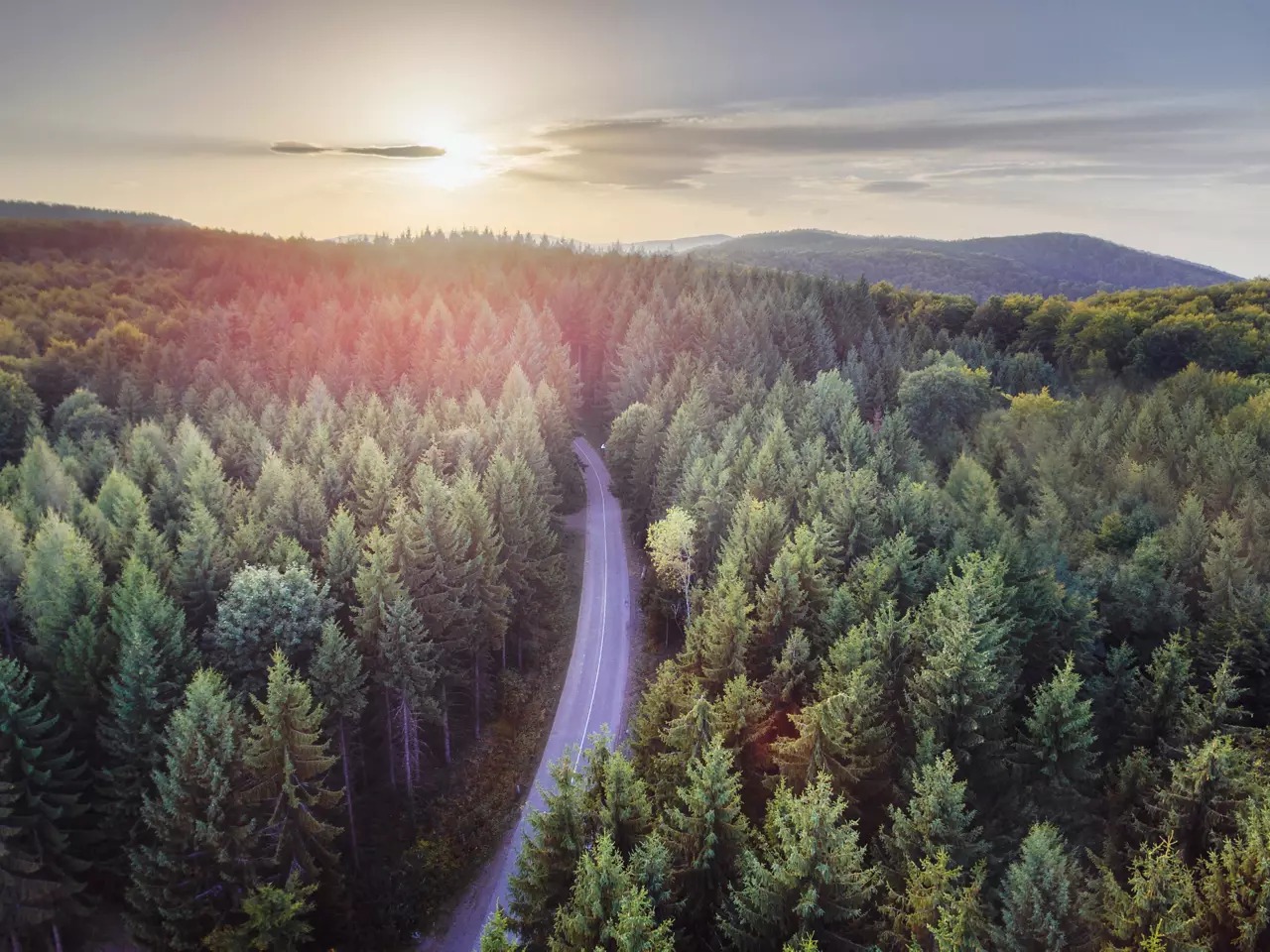 Aerial nature scenic landscape of pine trees and driving road in summer. Top view of dark green forest in mountain at sunset. Travel path and fir wood with sunlight from above.