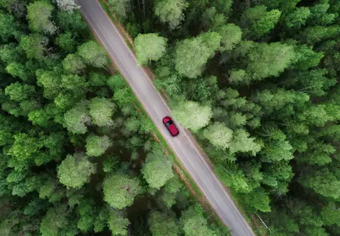 Single red car driving on a road through a forest