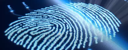 燃油染色剂和示踪剂