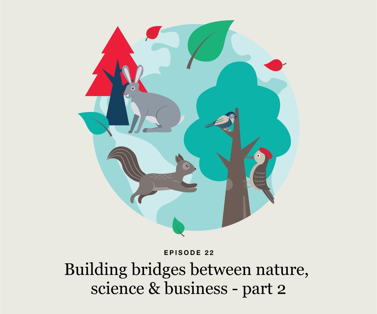 Plastics unwrapped podcast episode 12 thumbnail