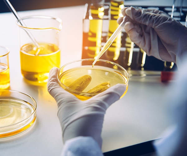 Edison Awards 2024 - Gold Seal