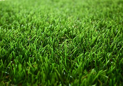 close look at artificial turf