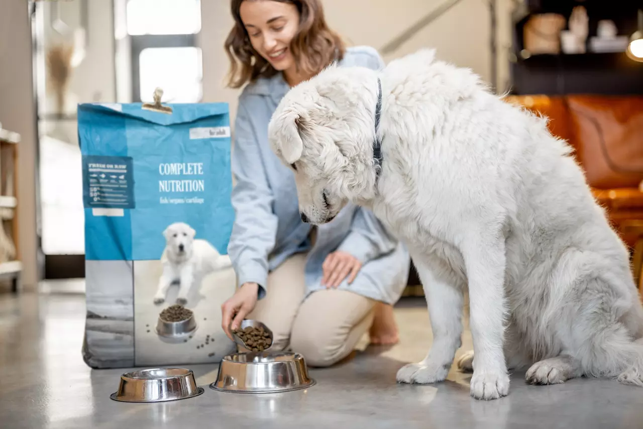 Woman feeds a dog with dry food at home