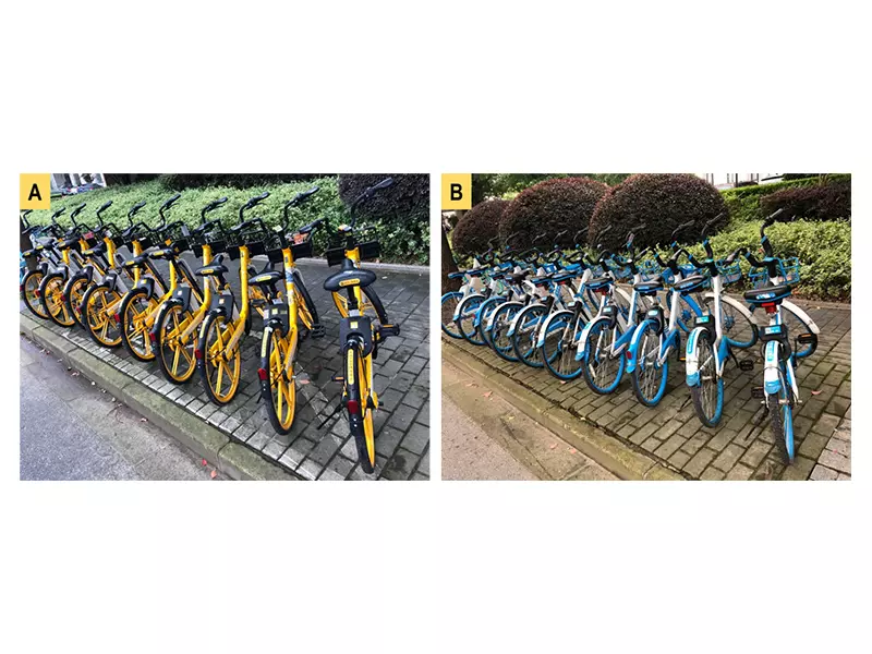 Rows of public bicycles