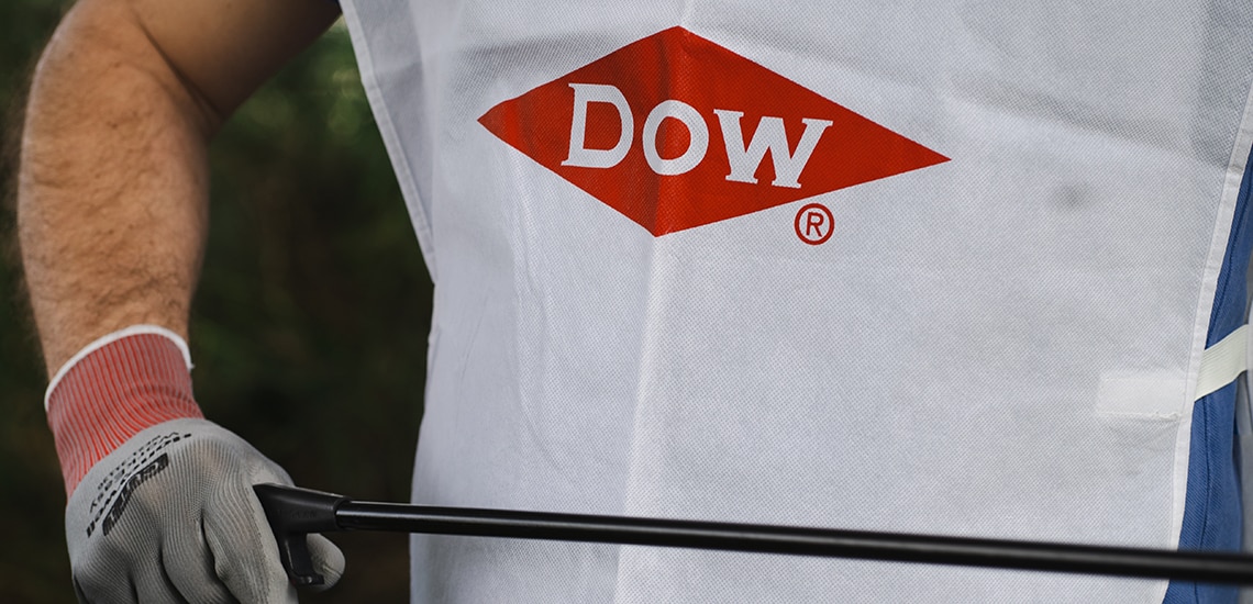 Dow volunteers at clean-up project